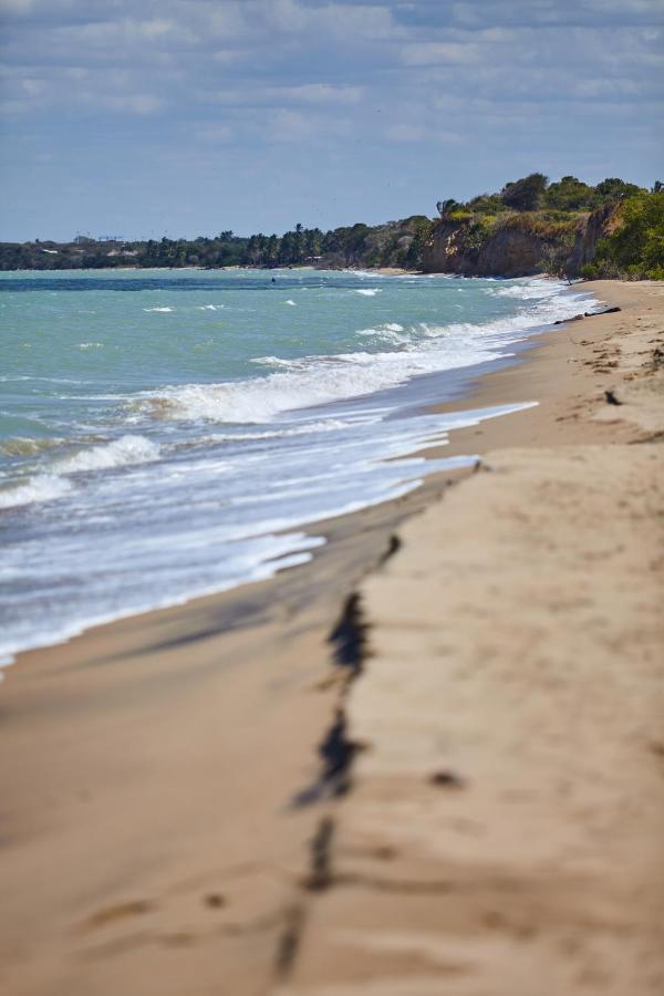 Corazon Guajiro Cabana Frente A Playa Solitaria En Dibulla Cerca A Palomino - Cabin In Front Of Solitary Beachs ภายนอก รูปภาพ
