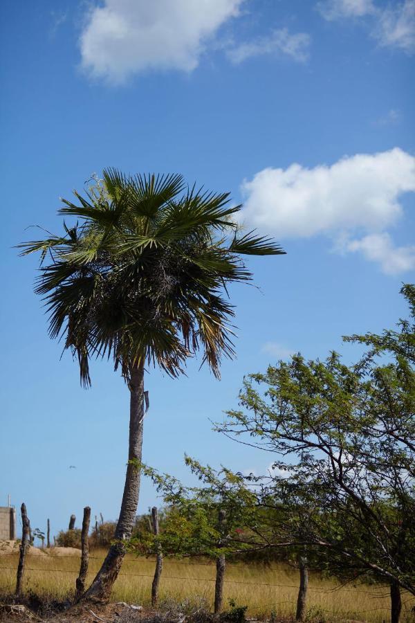 Corazon Guajiro Cabana Frente A Playa Solitaria En Dibulla Cerca A Palomino - Cabin In Front Of Solitary Beachs ภายนอก รูปภาพ